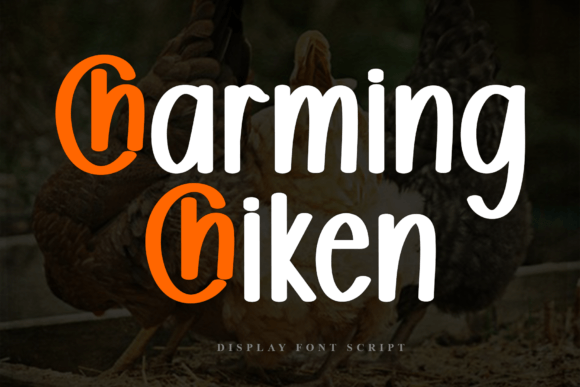 Discover the Sweet Appeal of Charming Chiken