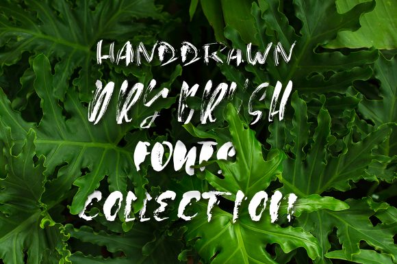 Dry Brush: A Modern Display Font for Impactful Designs