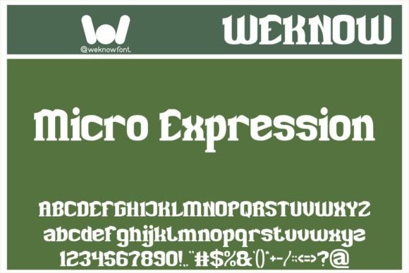 Micro Expression: A Slab Serif Font with Playful Sophistication